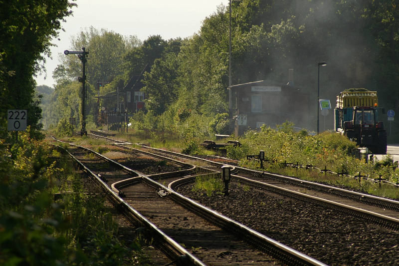 Bahn im Grünen