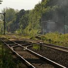 Bahn im Grünen