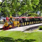 Bahn im Kölner Rheinpark