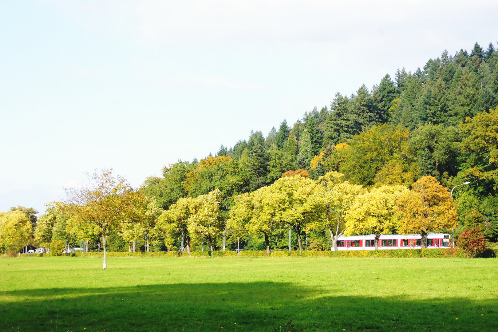 Bahn in voller Fahrt durch herbstliches Farbspektrum