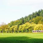 Bahn in voller Fahrt durch herbstliches Farbspektrum