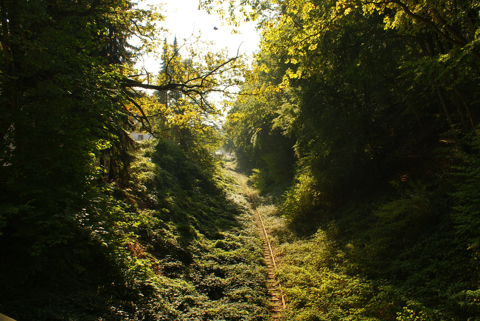 Bahn ins Nichts