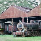 Bahn - Paraguay - "des Rostes Raub"