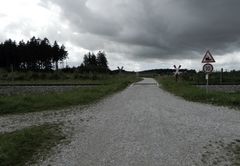 Bahn und Baum meets Grau und Nass