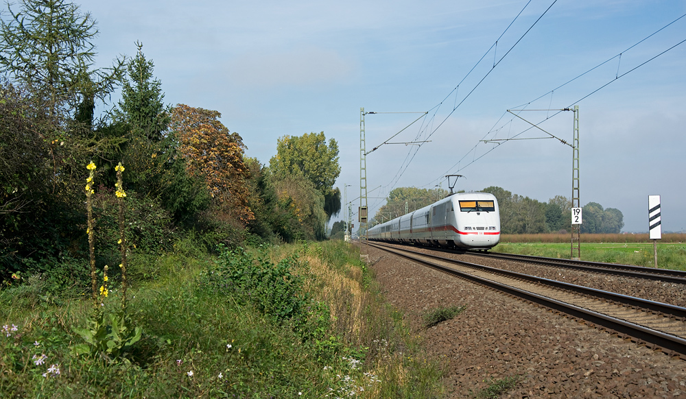 Bahnbegleitflora