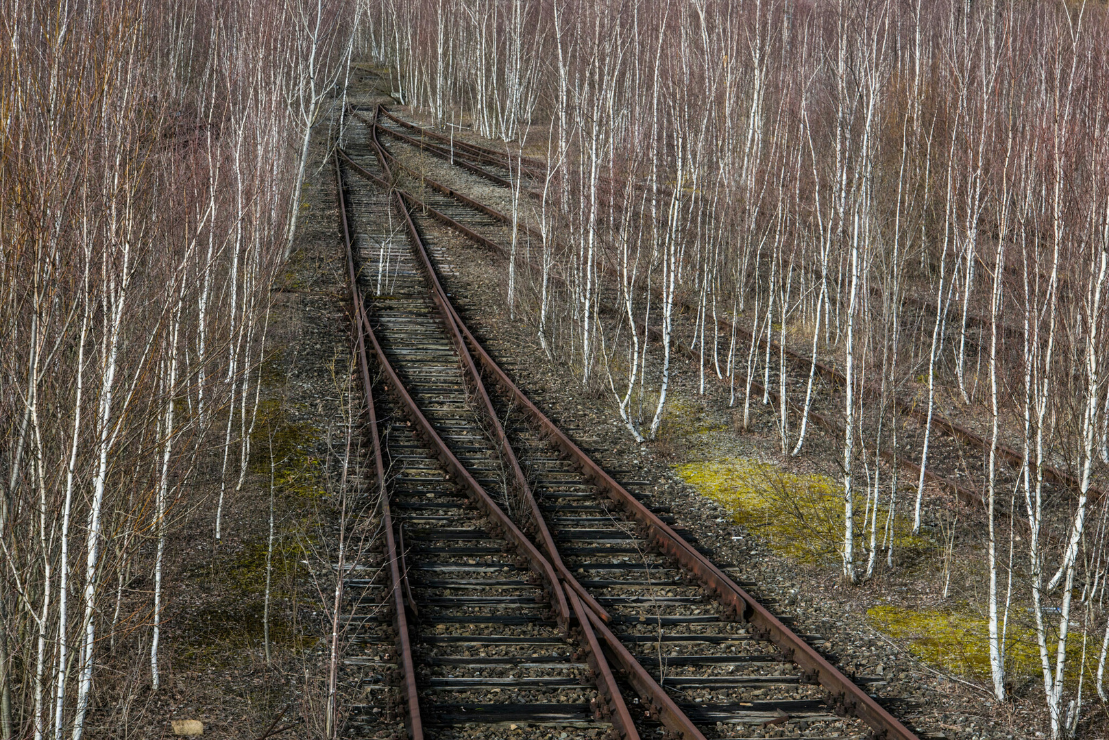 Bahnbetriebswerk - Rückeroberung durch die Natur