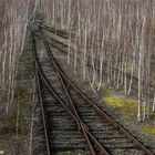 Bahnbetriebswerk - Rückeroberung durch die Natur