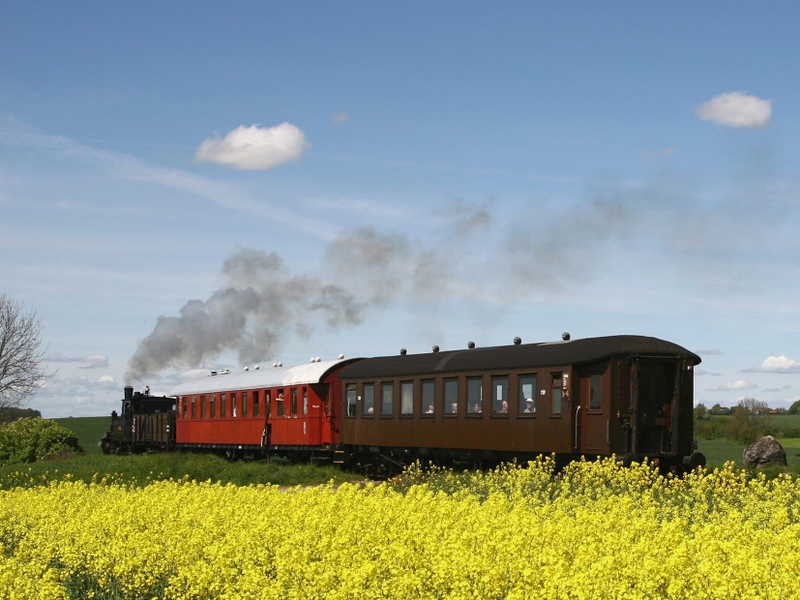 Bahnfahrt zwischen Kappeln und Süderbrarup