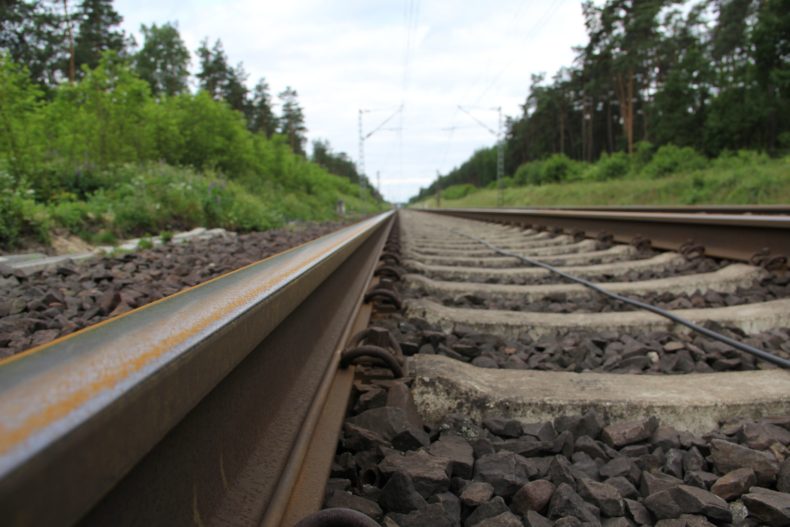 Bahngleis nach Eschede