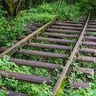 Bahngleis verschwindet im Wald