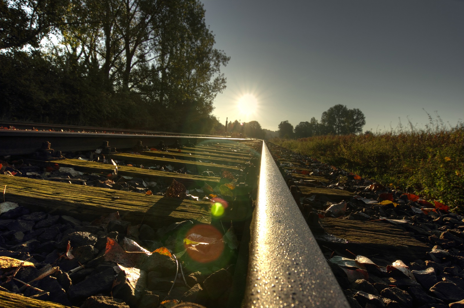 Bahngleise im Herbst