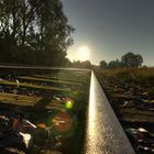 Bahngleise im Herbst