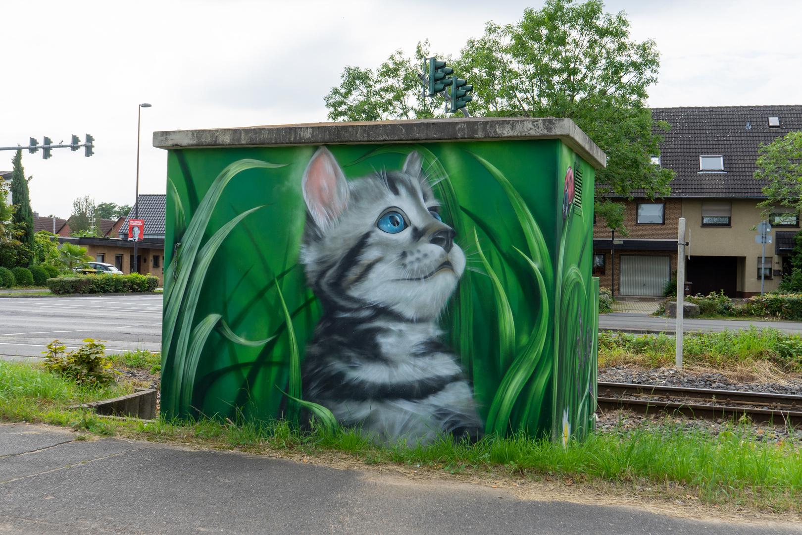 Bahnhäuschen Katze