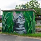 Bahnhäuschen Katze