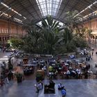 Bahnhof Atocha - umgewandelt in einen Palmengarten