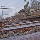 Bahnhof Birkenwerder für Mäuse