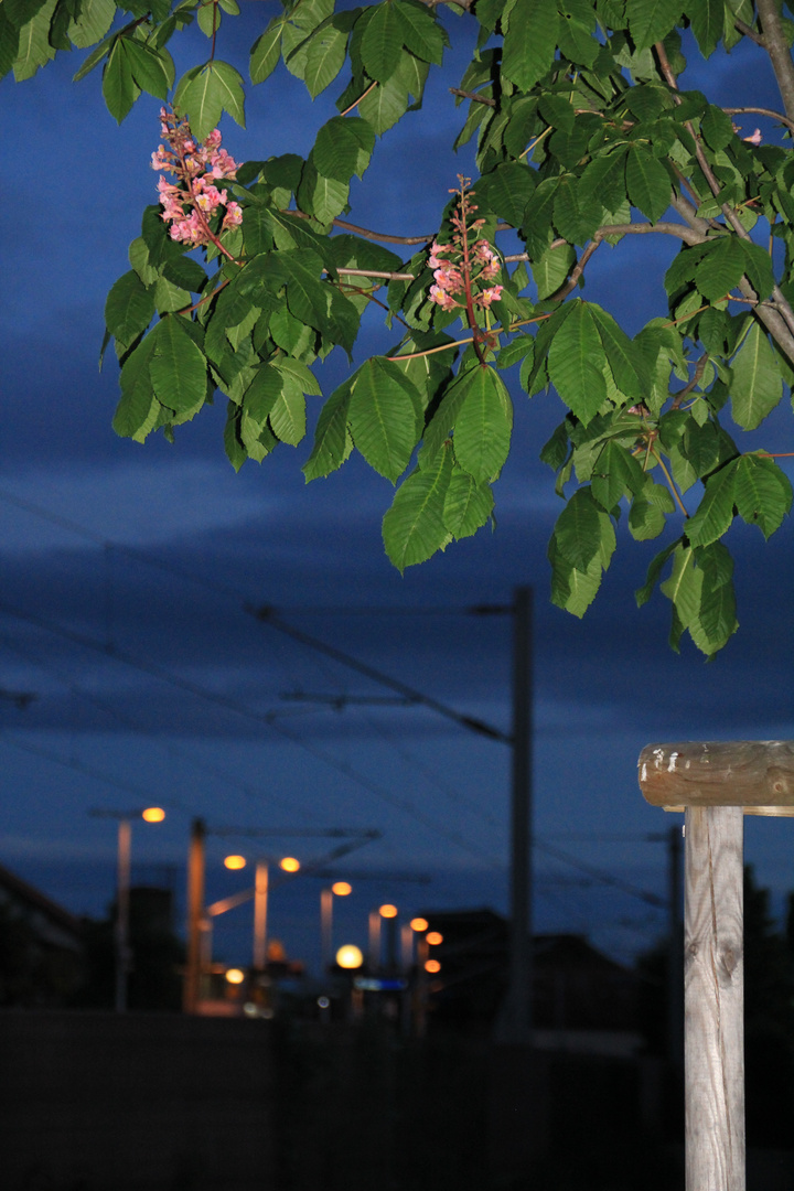 Bahnhof Bokeh