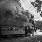 Bahnhof Drei Annen Hohne