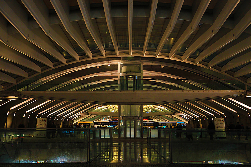 Bahnhof Gare do Oriente (Ostbahnhof) Lissabon (2)