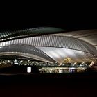 Bahnhof Guillemins: Es ist Nacht geworden (1)