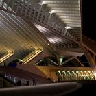 Bahnhof Guillemins: Es ist Nacht geworden (3)