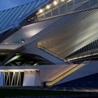 Bahnhof Guillemins: Farben und Formen im Licht der Blauen Stunde (3)