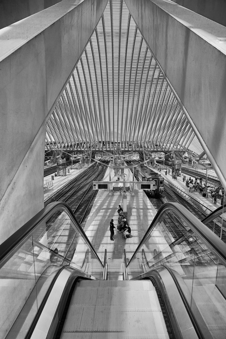 Bahnhof Guillemins in Liège 4/4