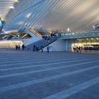 Bahnhof Guillemins in Lüttich/Belgien . Eingangsbereich.   1