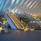 Bahnhof Guillemins Lüttich/Belgien  3