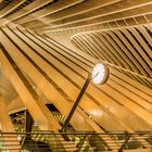 Bahnhof in Lüttich - Liege-Guillemins 5