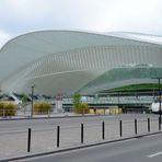 Bahnhof Liège-Guillemins (1)