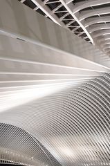 Bahnhof Liège-Guillemins (2)