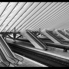 Bahnhof Liège-Guillemins 2