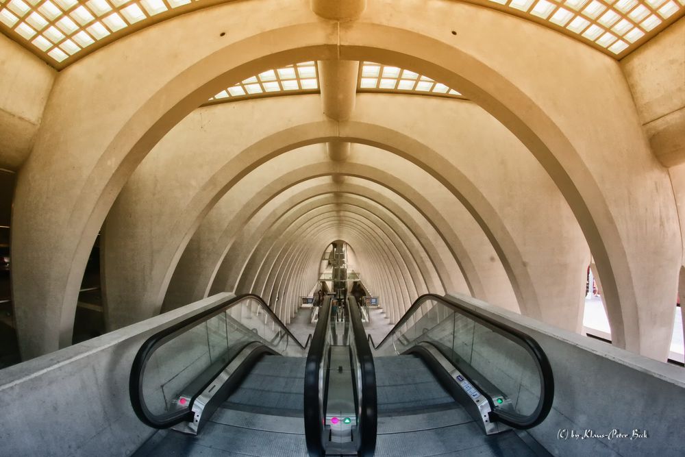 Bahnhof Liège-Guillemins 2