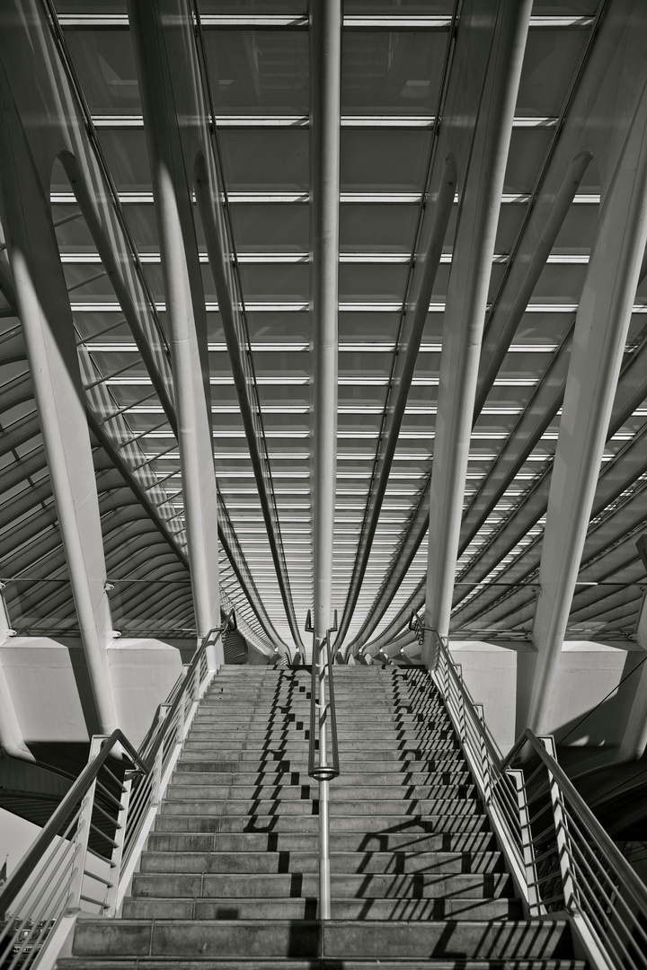 Bahnhof Liège-Guillemins