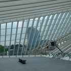 Bahnhof Liège-Guillemins (3)