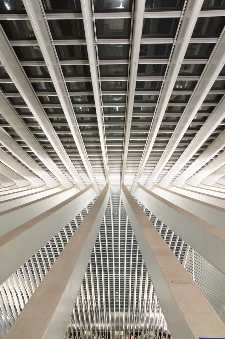 Bahnhof Liège-Guillemins (4)