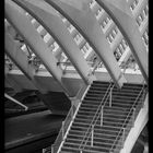 Bahnhof Liège-Guillemins 4