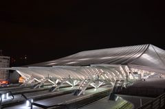 Bahnhof Liège-Guillemins (5)