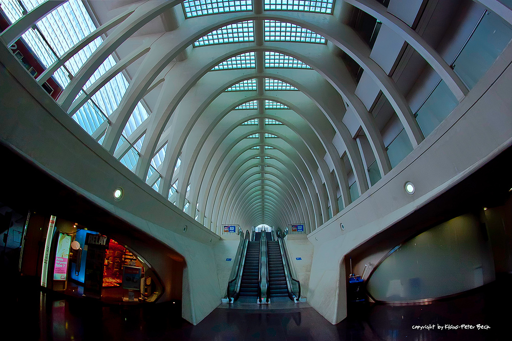 Bahnhof Liège-Guillemins 5