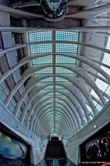 Bahnhof Liège-Guillemins 6