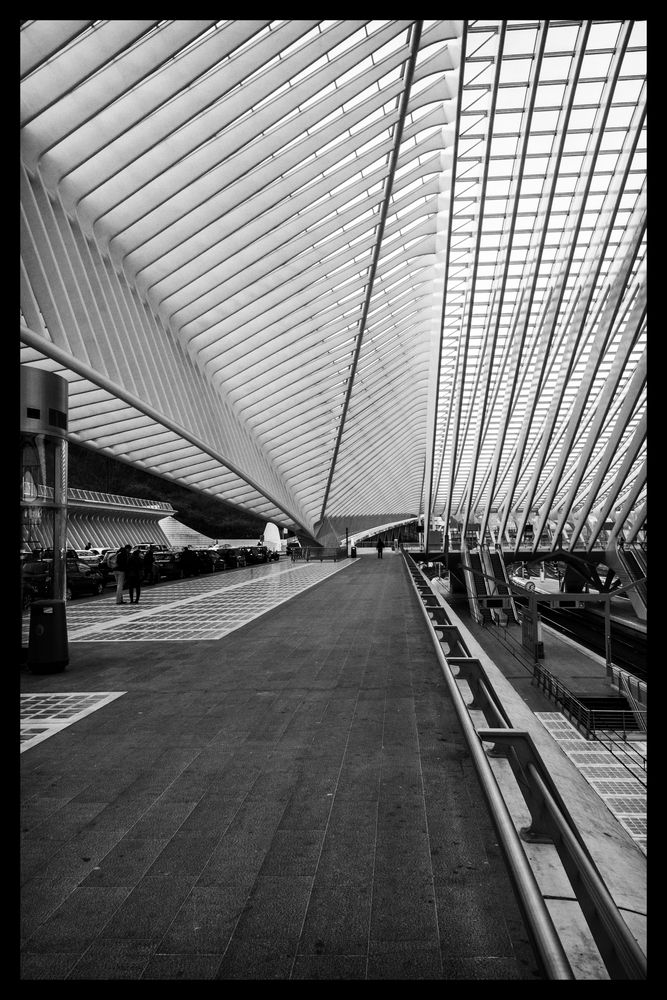 Bahnhof Liège-Guillemins 6