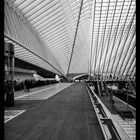 Bahnhof Liège-Guillemins 6