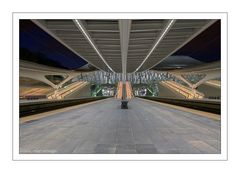 Bahnhof Liège-Guillemins - Bahnsteig