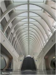 Bahnhof Liège-Guillemins....