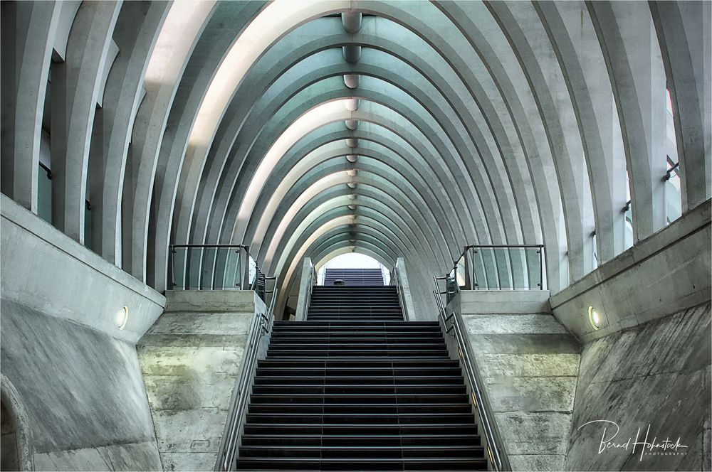 Bahnhof Liège-Guillemins ... 