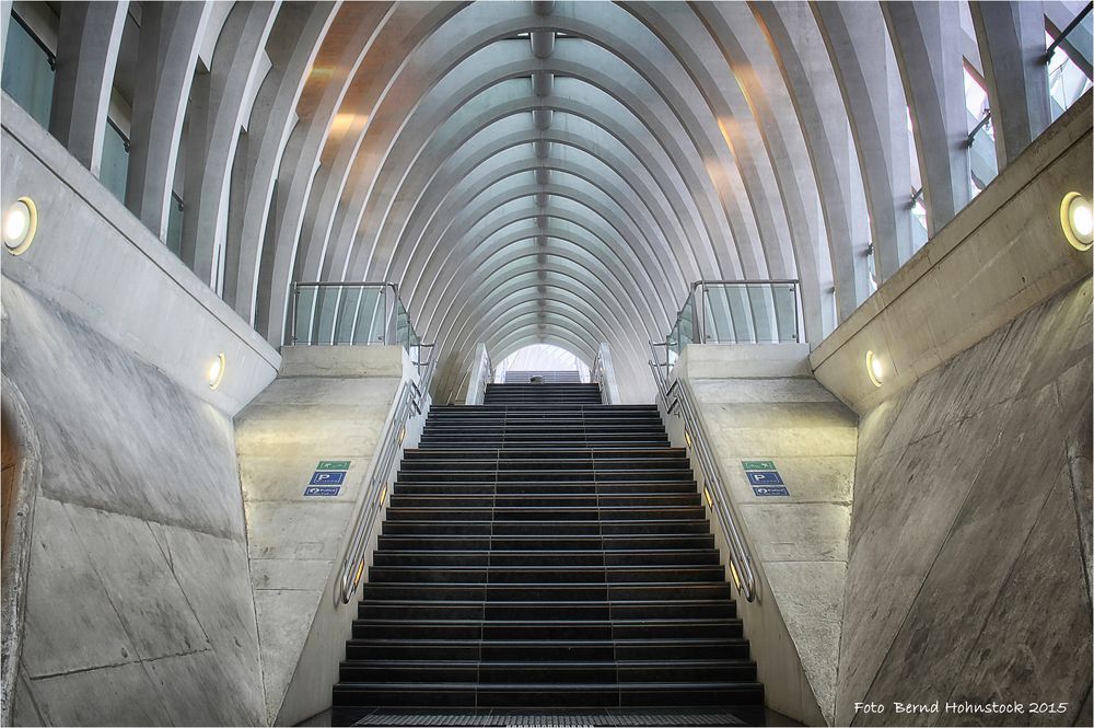 Bahnhof Liège-Guillemins .......