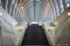 Bahnhof Liège-Guillemins .......