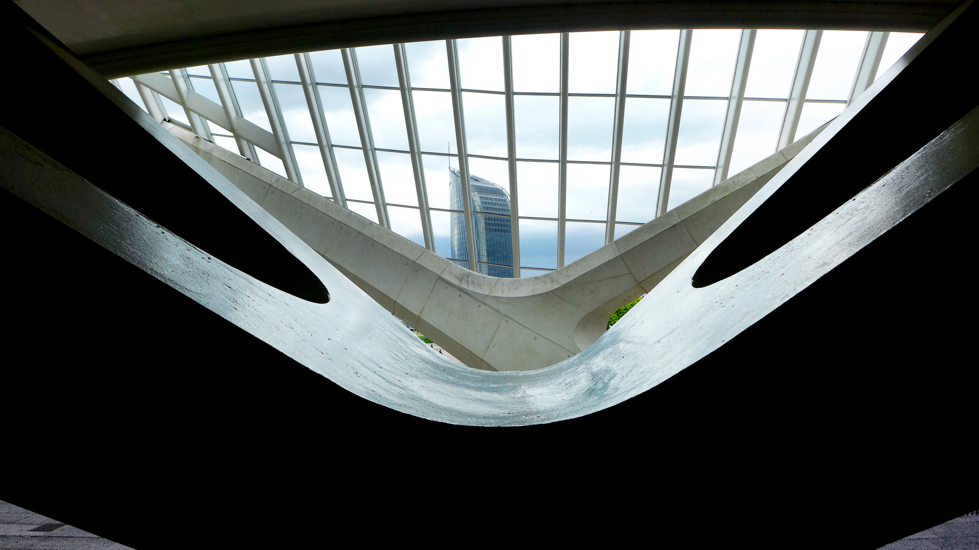 Bahnhof Liège-Guillemins (Detail) Santiago Calatrava