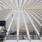 Bahnhof Liège-Guillemins